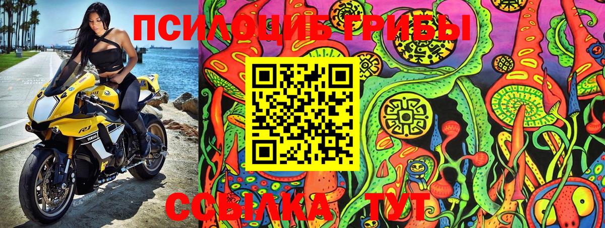 Павловский Посад  Псилоцибиновые грибы GOLDEN TEACHER  Вход с VPN 