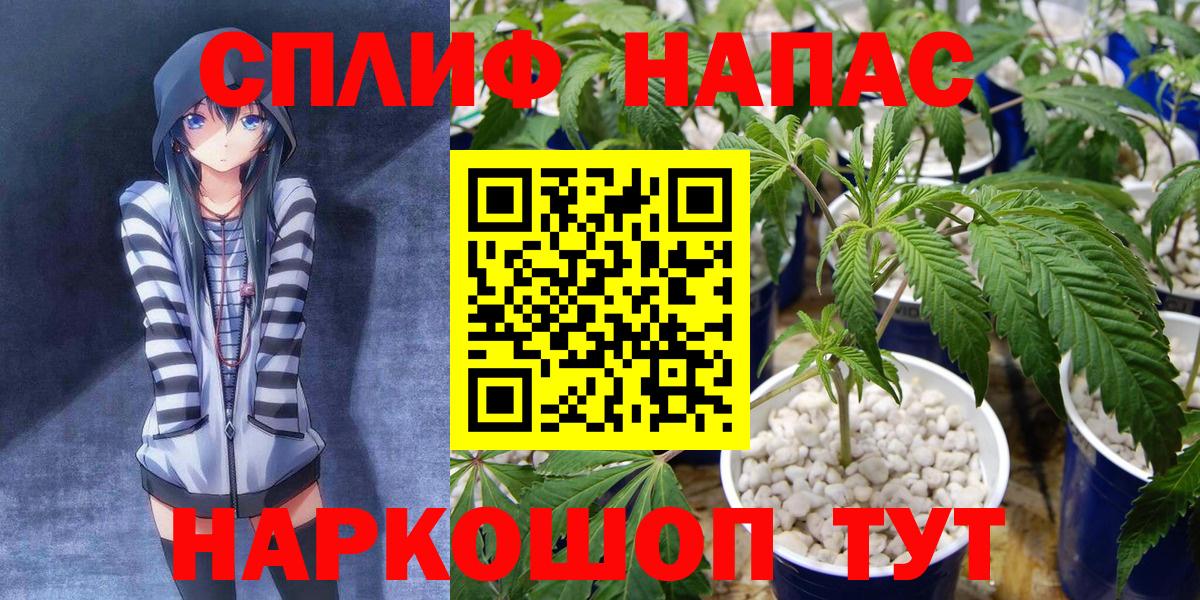 Бошки Шишки индика Павловский Посад